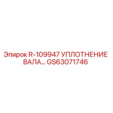 GS63071746 R-109947 УПЛОТНЕНИЕ ВАЛА Epiroc