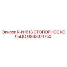 GS63071750 R-N1613 СТОПОРНОЕ КОЛЬЦО Epiroc