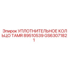 GS63071821 УПЛОТНИТЕЛЬНОЕ КОЛЬЦО TAMR 89510539 Epiroc
