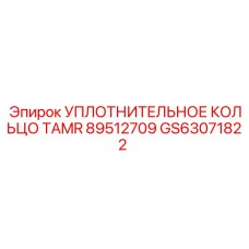 GS63071822 УПЛОТНИТЕЛЬНОЕ КОЛЬЦО TAMR 89512709 Epiroc