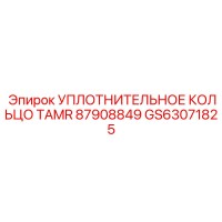 GS63071825 УПЛОТНИТЕЛЬНОЕ КОЛЬЦО TAMR 87908849 Epiroc