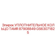 GS63071825 УПЛОТНИТЕЛЬНОЕ КОЛЬЦО TAMR 87908849 Epiroc