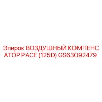 GS63092479 ВОЗДУШНЫЙ КОМПЕНСАТОР PACE (125D) Epiroc