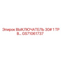 GS71061737 ВЫКЛЮЧАТЕЛЬ 30# 1 TPB Epiroc