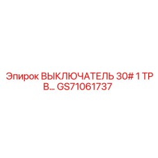 GS71061737 ВЫКЛЮЧАТЕЛЬ 30# 1 TPB Epiroc