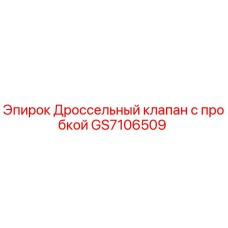 GS7106509 Дроссельный клапан с пробкой Epiroc