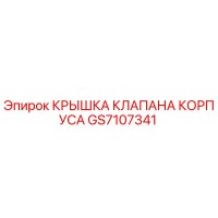 GS7107341 КРЫШКА КЛАПАНА КОРПУСА Epiroc