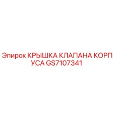 GS7107341 КРЫШКА КЛАПАНА КОРПУСА Epiroc