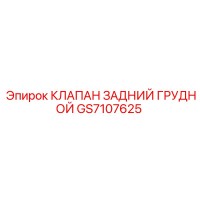 GS7107625 КЛАПАН ЗАДНИЙ ГРУДНОЙ Epiroc