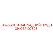 GS7107625 КЛАПАН ЗАДНИЙ ГРУДНОЙ Epiroc