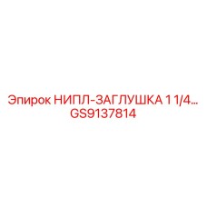 GS9137814 НИПЛ-ЗАГЛУШКА 1 1/4 Epiroc
