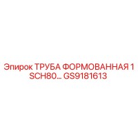 GS9181613 ТРУБА ФОРМОВАННАЯ 1 SCH80 Epiroc