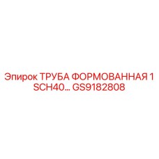 GS9182808 ТРУБА ФОРМОВАННАЯ 1 SCH40… Epiroc