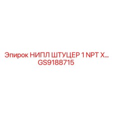 GS9188715 НИПЛ ШТУЦЕР 1 NPT X Epiroc