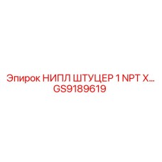 GS9189619 НИПЛ ШТУЦЕР 1 NPT X... Epiroc