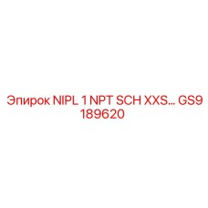 GS9189620 NIPL 1 NPT SCH XXS... Epiroc
