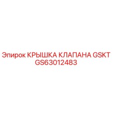 GS63012483 КРЫШКА КЛАПАНА GSKT Epiroc
