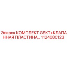 1124080123 КОМПЛЕКТ GSKT+КЛАПАННАЯ ПЛАСТИНА Epiroc