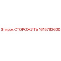 1615792600 СТОРОЖИТЬ Epiroc