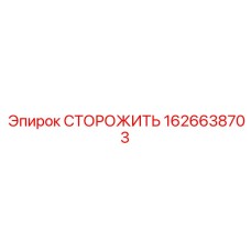 1626638703 СТОРОЖИТЬ Epiroc