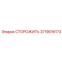 3719016173 СТОРОЖИТЬ Epiroc