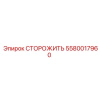 5580017960 СТОРОЖИТЬ Epiroc