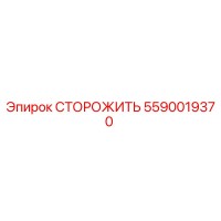 5590019370 СТОРОЖИТЬ Epiroc