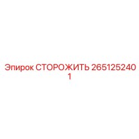 2651252401 СТОРОЖИТЬ Epiroc