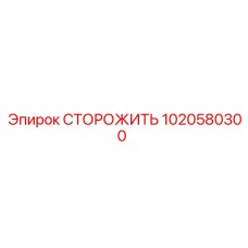 1020580300 СТОРОЖИТЬ Epiroc