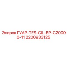 2200933125 ГУАР-TES-CIL-BP-C20000-11 Epiroc