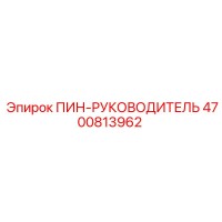 4700813962 ПИН-РУКОВОДИТЕЛЬ Epiroc