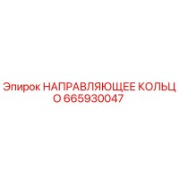 665930047 НАПРАВЛЯЮЩЕЕ КОЛЬЦО Эпирок