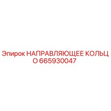 665930047 НАПРАВЛЯЮЩЕЕ КОЛЬЦО Эпирок