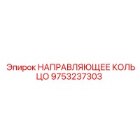 9753237303 НАПРАВЛЯЮЩЕЕ КОЛЬЦО Epiroc