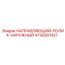 4730001421 НАПРАВЛЯЮЩИЙ-РОЛИК-НАРУЖНЫЙ Epiroc