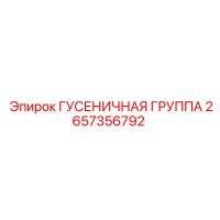 2657356792 ГУСЕНИЧНАЯ ГРУППА Epiroc