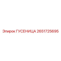 2651725695 ГУСЕНИЦА Epiroc