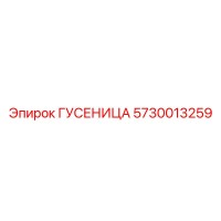 5730013259 Гусеница Epiroc