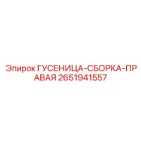 2651941557 ГУСЕНИЦА-СБОРКА-ПРАВАЯ Epiroc