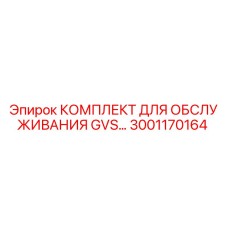 3001170164 КОМПЛЕКТ ДЛЯ ОБСЛУЖИВАНИЯ GVS by Epiroc