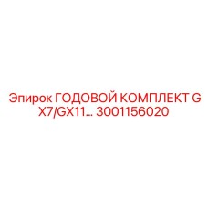 Оригинальный годовой набор GX7/GX11 артикул 3001156020
