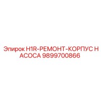 9899700866 H1R-РЕМОНТ-КОРПУС НАСОСА Epiroc