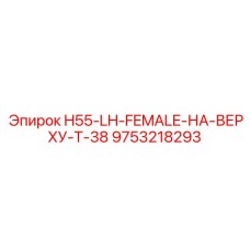 9753218293 H55-LH-FEMALE-НА-ВЕРХУ-T-38 Epiroc