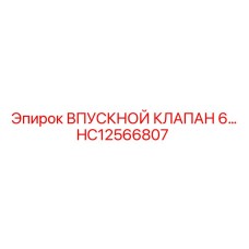 HC12566807 - ВПУСКНОЙ КЛАПАН 6