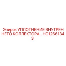 HC12661343 Уплотнение внутреннего коллектора Epiroc