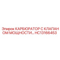 HC13166453 КАРБЮРАТОР С КЛАПАНОМ МОЩНОСТИ - Epiroc