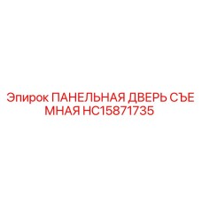 HC15871735 ПАНЕЛЬНАЯ ДВЕРЬ СЪЕМНАЯ Epiroc
