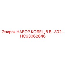 HC63062846 НАБОР КОЛЕЦ 8 В.-302… Epiroc
