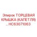 HC63071063 ТОРЦЕВАЯ КРЫШКА (КАПЕТЛЯ) | Epiroc