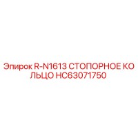 HC63071750 R-N1613 СТОПОРНОЕ КОЛЬЦО Epiroc